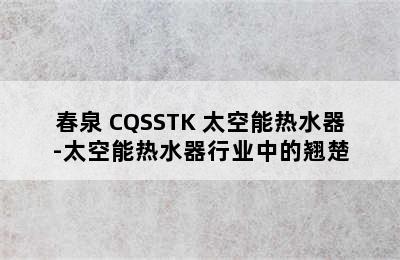 春泉 CQSSTK 太空能热水器-太空能热水器行业中的翘楚